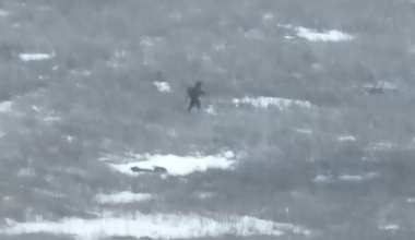 Russian soldier burns to death after being hit with Ukrainian drone-dropped grenades, March 2025