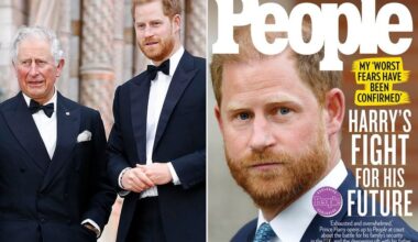 Prince Harry's Fight for His Future Exposes Deepening Rift with King Charles: 'They Are Distant,' Source Says (Exclusive)