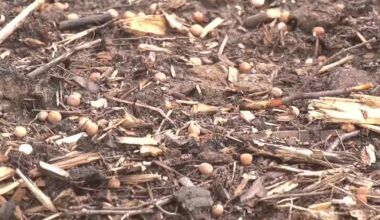 USDA Funding Cuts and their impacts on Alaska’s Economy