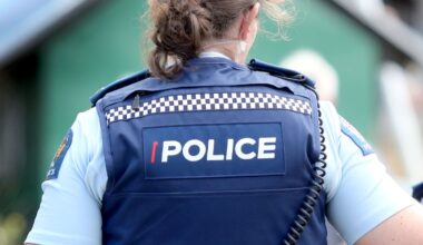 Stolen firearms in Nelson: Police appeal for information after arrest