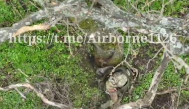 NSFW: Ukrainian drone operator of the 81st Airmobile Brigade lands a direct hit on the head of a Russian soldier. Bilohorivka direction. April 24, 2025 [graphic content]