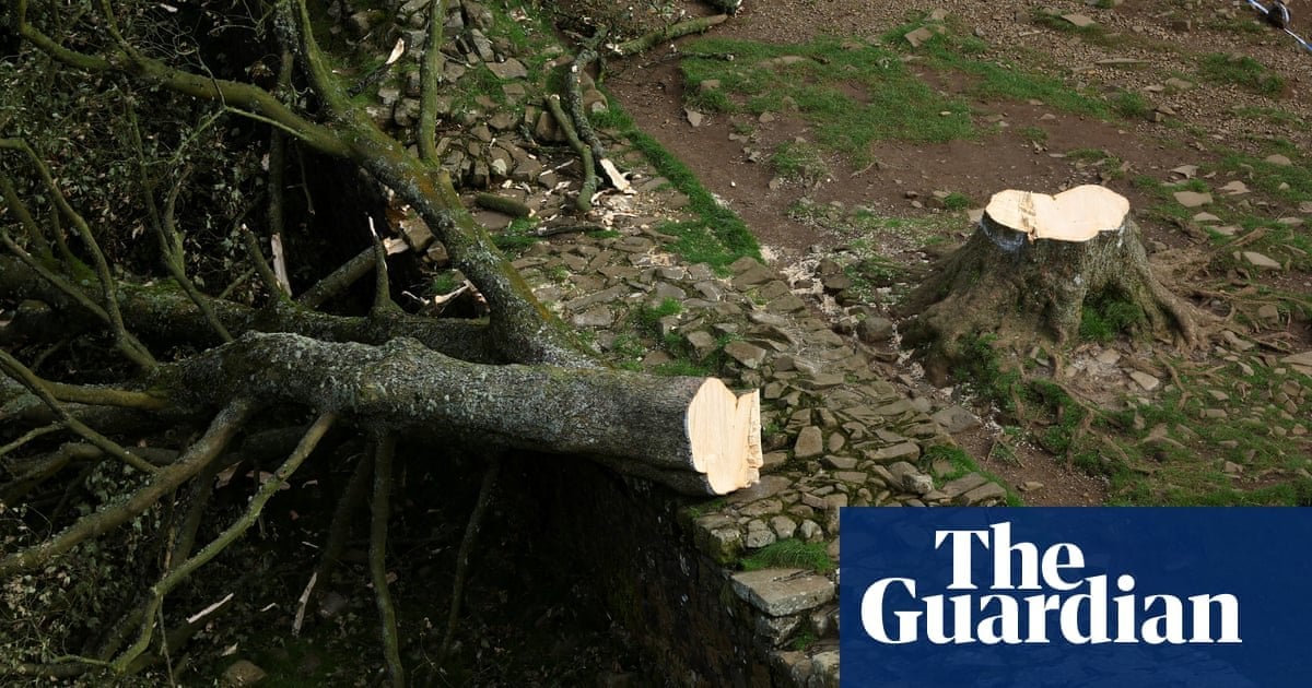 Two men filmed felling of Sycamore Gap tree during ‘mindless’ act, court hears