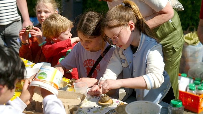 Biodiversiteit minder belangrijk voor kabinet, maar als burger kun je ook iets doen: 'Verruil die hortensia voor een inheemse plant'