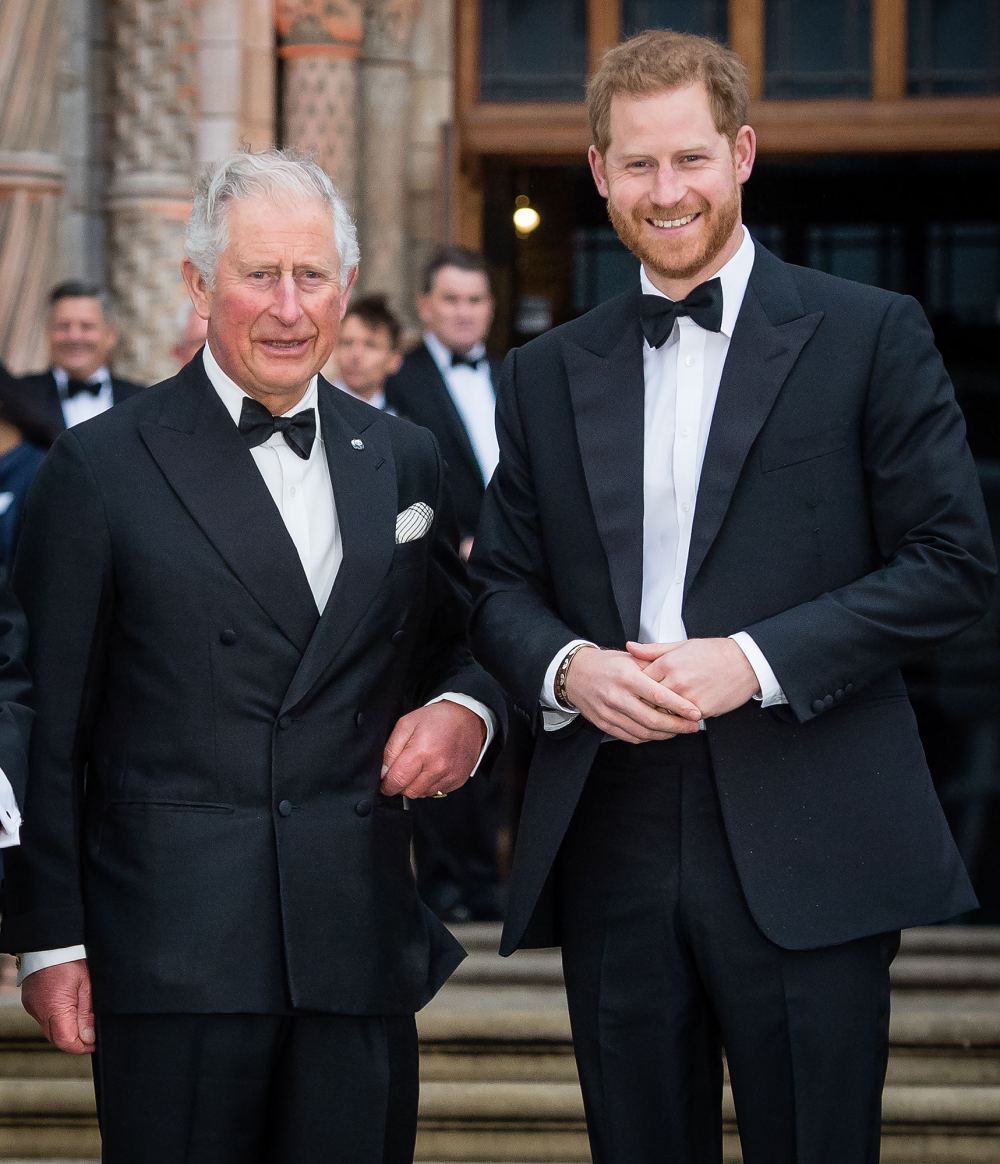Prince Harry Not Told About King Charles Recent Hospital Stay 3