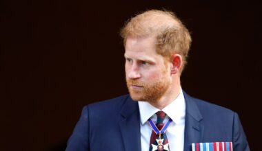 Prince Harry 'Singled Out' by Government by Reducing Security Detail