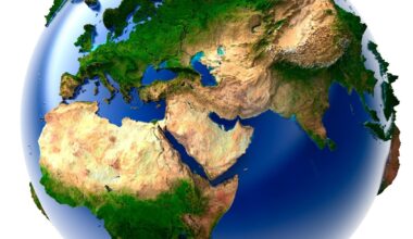 Wales Can’t Meet Net-Zero Goals with Imported Wood Alone — New Study