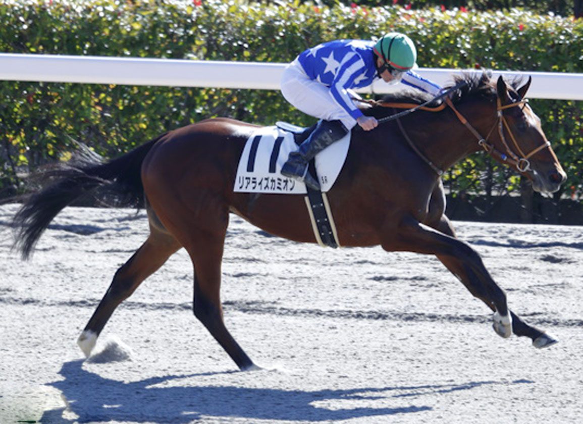 American Pharoah Colts Front and Center In Japan