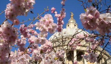 Sunny weather to heat UK up to 22C today - but bad news for hay fever sufferers | News UK