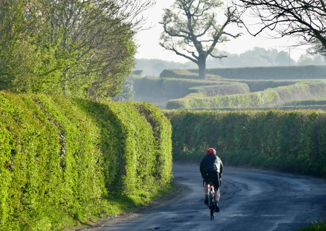 Mandatory Credit: Photo by Geoffrey Swaine/Shutterstock (15249694b) People out in the early morning sunshine. Seasonal weather, Dunsden, Oxfordshire, UK - 12 Apr 2025