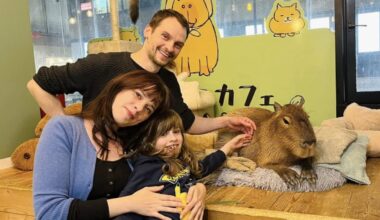 Life in the UK is too expensive, so we're moving to Japan with our seven-year-old