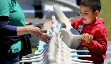 Watsonville Earth Day festival highlights personal responsibility in protecting environment – Santa Cruz Sentinel