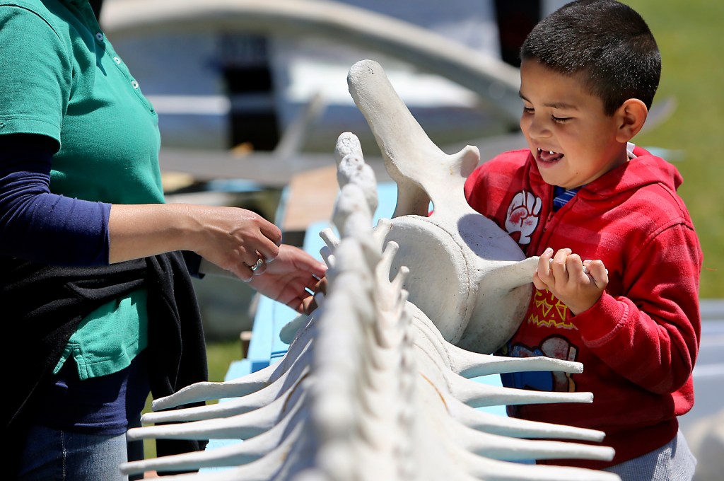 Watsonville Earth Day festival highlights personal responsibility in protecting environment – Santa Cruz Sentinel