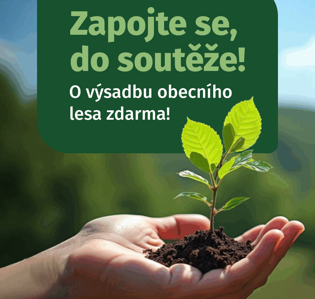 Sázíme Česko nabízí obcím zdarma výsadbu lesů – přihlaste se do soutěže