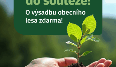 Sázíme Česko nabízí obcím zdarma výsadbu lesů – přihlaste se do soutěže