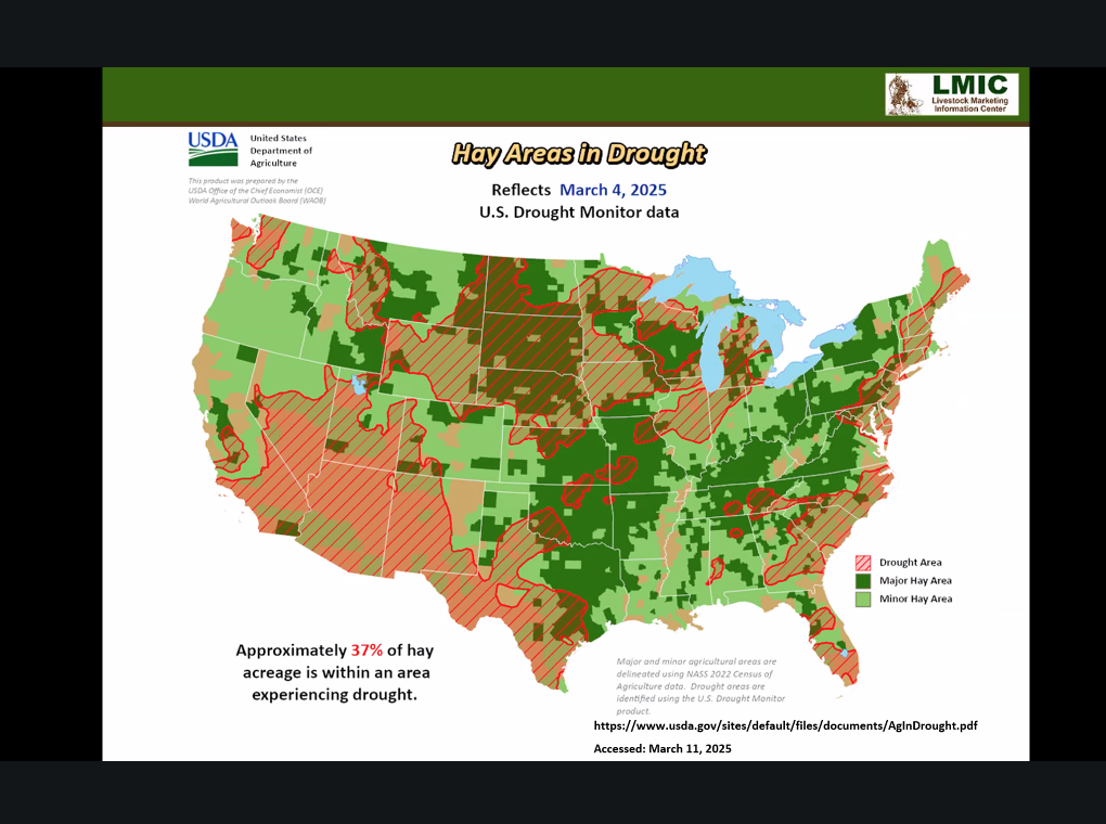 Look at the bigger picture for livestock, economy 