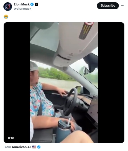 Screenshot of Elon Musk's reaction