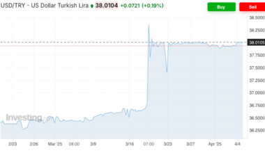 bne IntelliNews - COMMENT: Turkey's opposition targets ruling regime's illusion of market stability in Nikkei op-ed