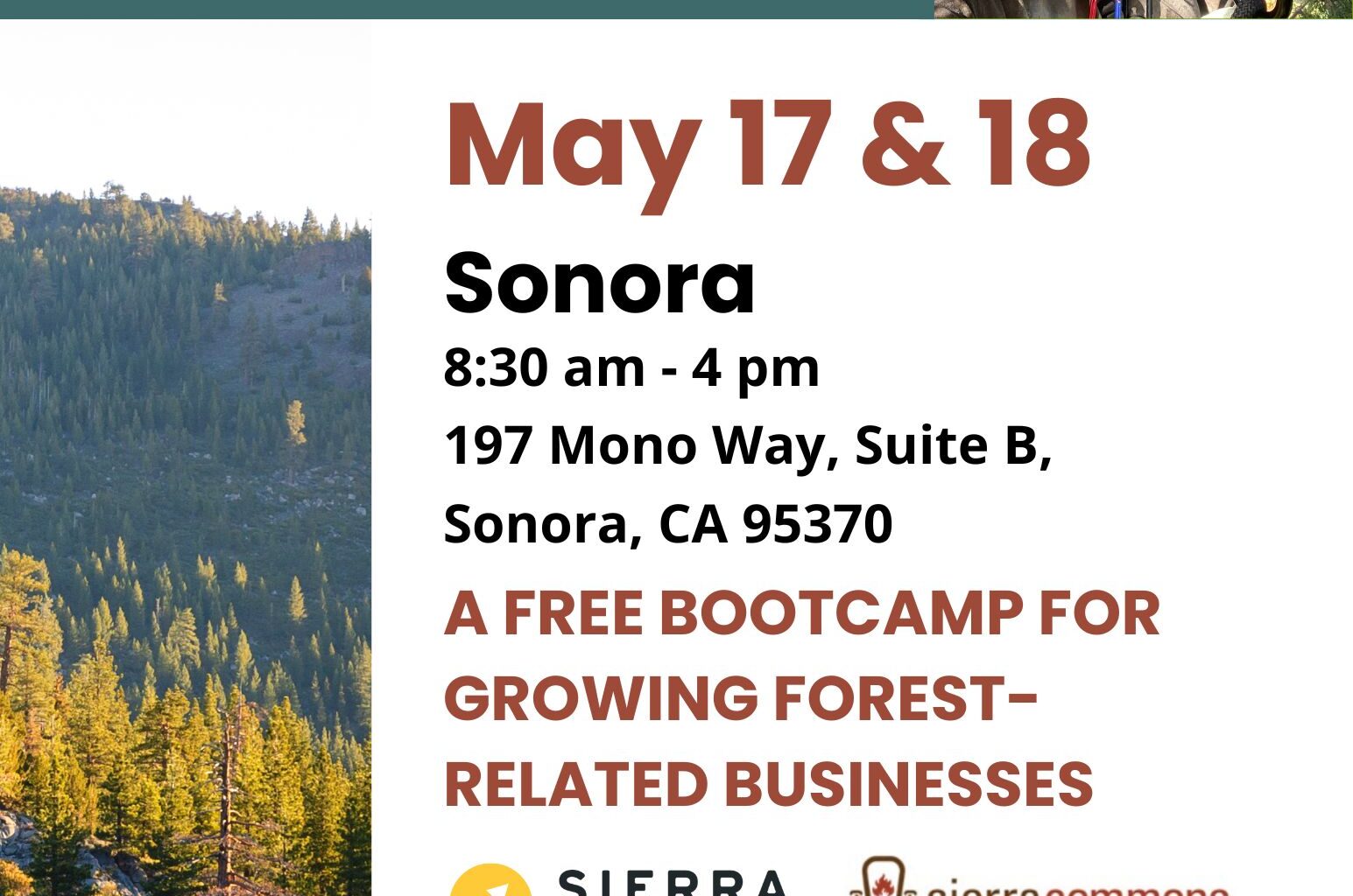 Free Forest Business Bootcamp Coming To Sonora