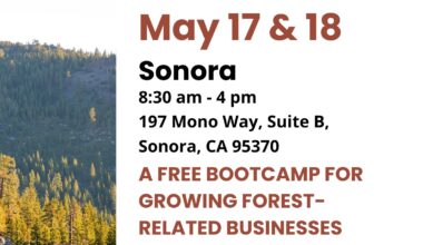 Free Forest Business Bootcamp Coming To Sonora