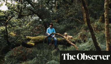 ‘It’s a place of healing’: the man on a mission to restore Britain’s ancient rainforest