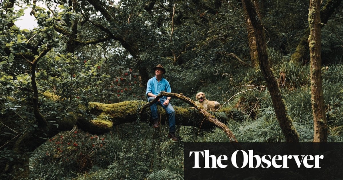 ‘It’s a place of healing’: the man on a mission to restore Britain’s ancient rainforest