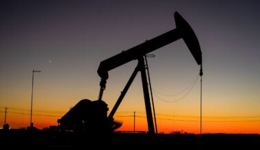 Tariffs set to impact India's petroleum product exports to the US