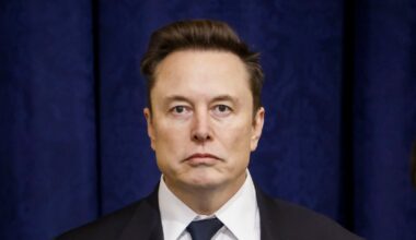 Elon Musk Bemoans ‘Paid’ Protests as Tesla Earnings Plummet