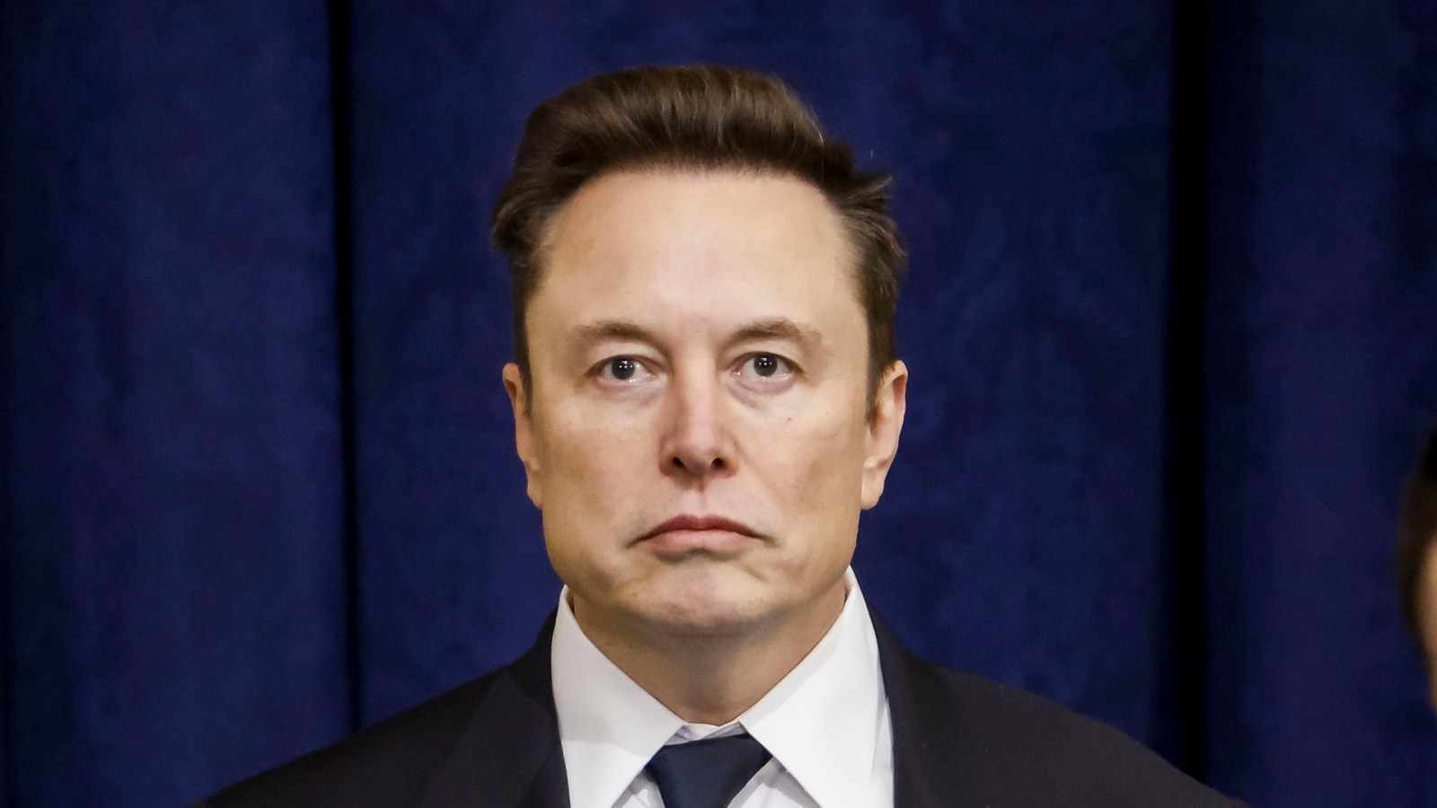Elon Musk Bemoans ‘Paid’ Protests as Tesla Earnings Plummet