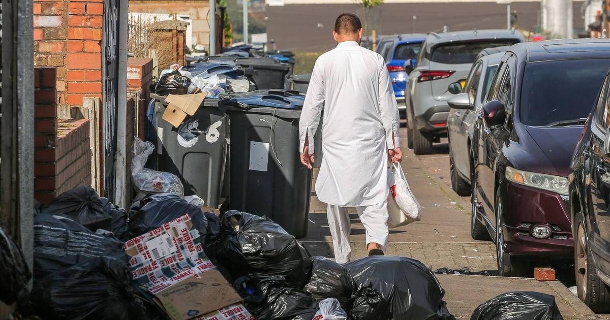 Army called to rat-ridden Birmingham bin strike to tackle 'public health risk'
