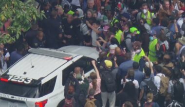 Most UCLA, USC protesters arrested during Israel-Hamas war demonstrations won't face charges