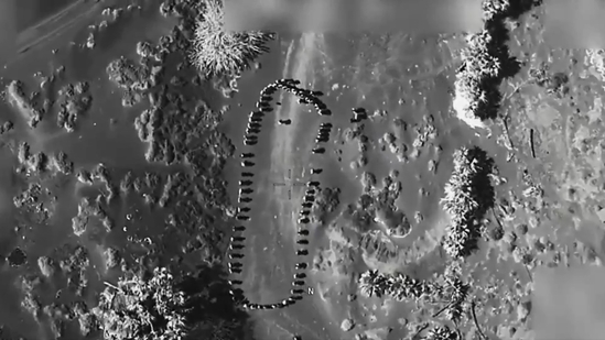 A still from the video shared by US President Donald Trump.(X/@realDonaldTrump)