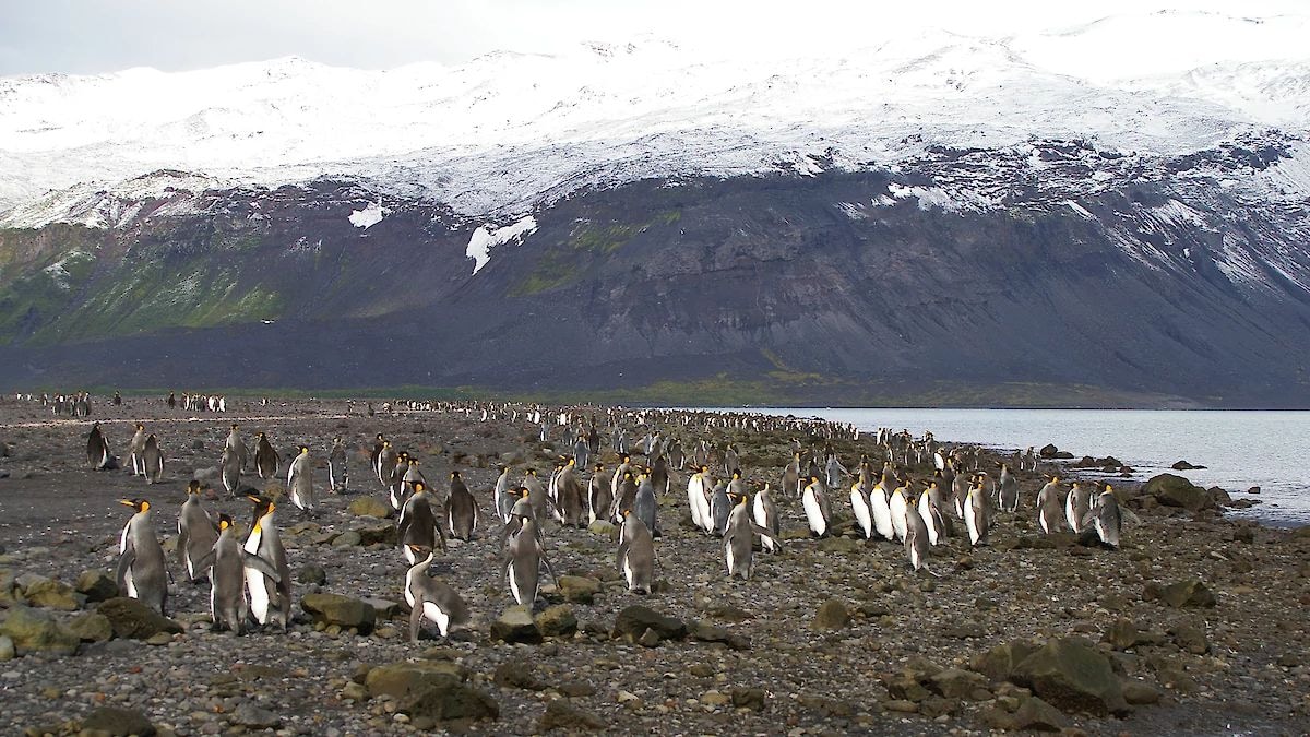 What are Heard and McDonald Islands? – Firstpost