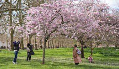 Spy chiefs say China is bugging St James’s Park benches to snoop on UK MPs