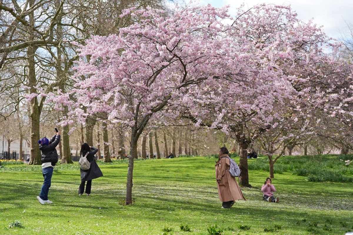 Spy chiefs say China is bugging St James’s Park benches to snoop on UK MPs
