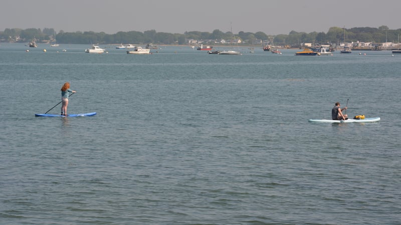 Concern for wildlife as 100-fold increase in chemicals found in harbours