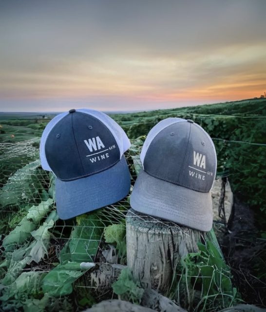 Two Walla Walla baseball caps sit on a vine with a glowing sunset in the background