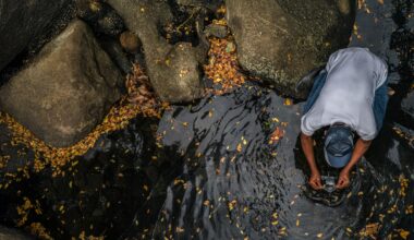 African countries to protect environmental and public health through improved wastewater surveillance