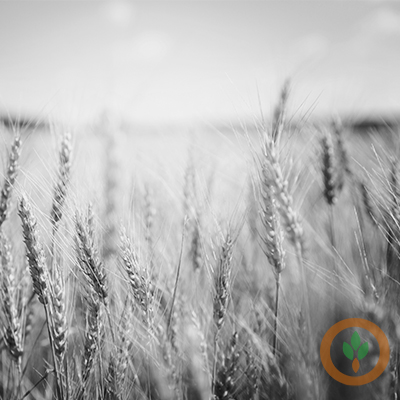 Climate grantees anxiously awaiting USDA decisions