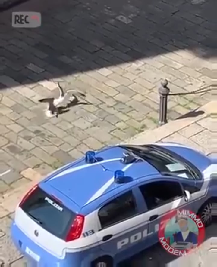 Italian cop promptly and swiftly interrupts violent gang beat down.
