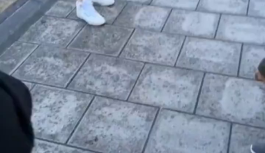 Man gets bitten by a fox after saying how well behaved they are