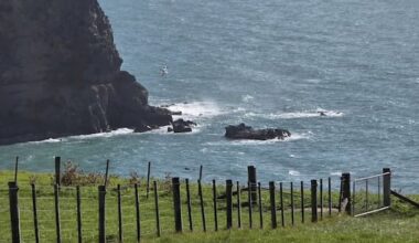 Trio rescued after boat capsizes off Banks Peninsula