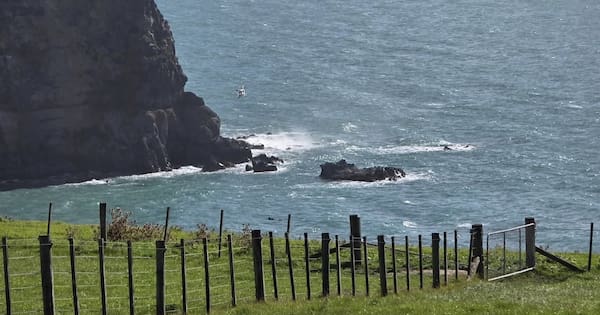 Trio rescued after boat capsizes off Banks Peninsula