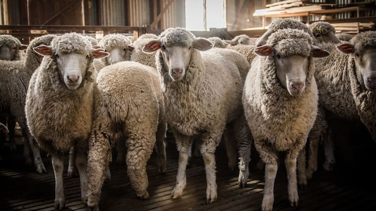 We need to look beyond the products we're comfortable producing. 