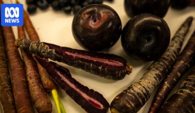 Could this Aussie purple plum hold the key to preventing dementia?