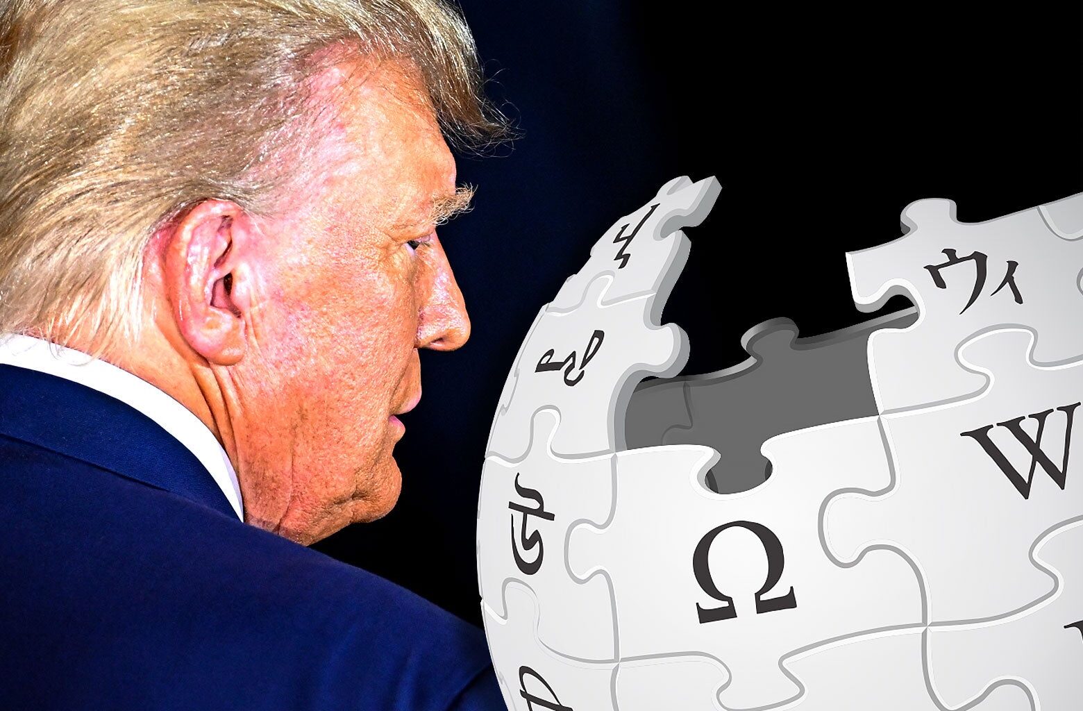 How the 2025 stock market chaos is dividing Wikipedia.