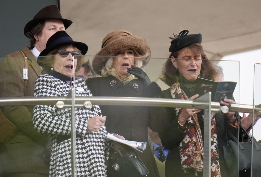 Queen Camilla reacts in royal box