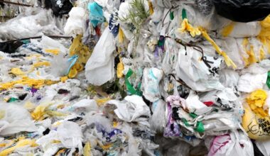 How do we solve New Zealand struggles with plastic waste?