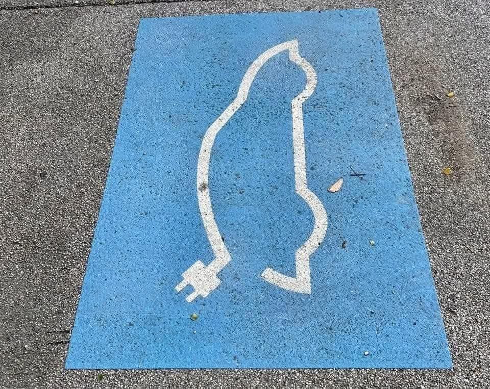 As a new EV owner, I didn't realise you could use these Waitrose charging bays to charge your cat too....
