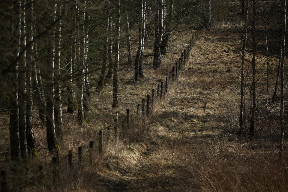 Abandoned fence in a wooded area near the Polish-Lithuanian border.