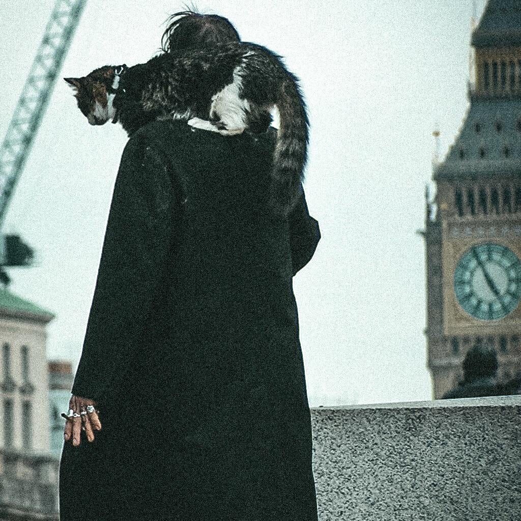 Just a guy walking in the city centre with a cat on his shoulder